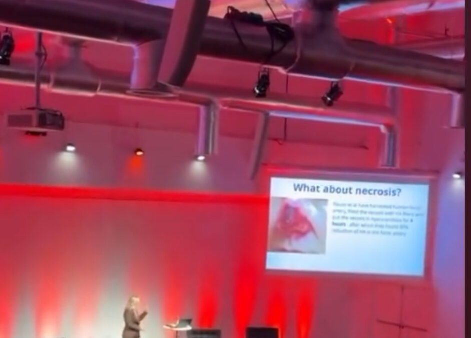 Sikker Filler behandling