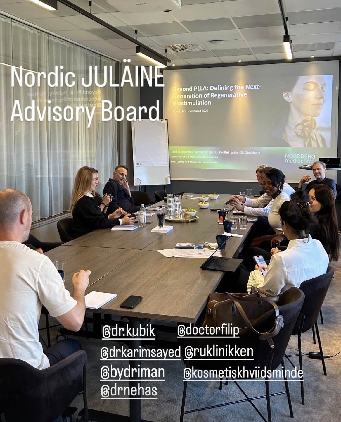 nordic-julaine-advisory-board-stockholm-2026.png